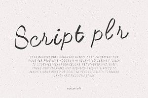 Script plr – Elegant Handcrafted, a Handwritten Font by adenpinkstore