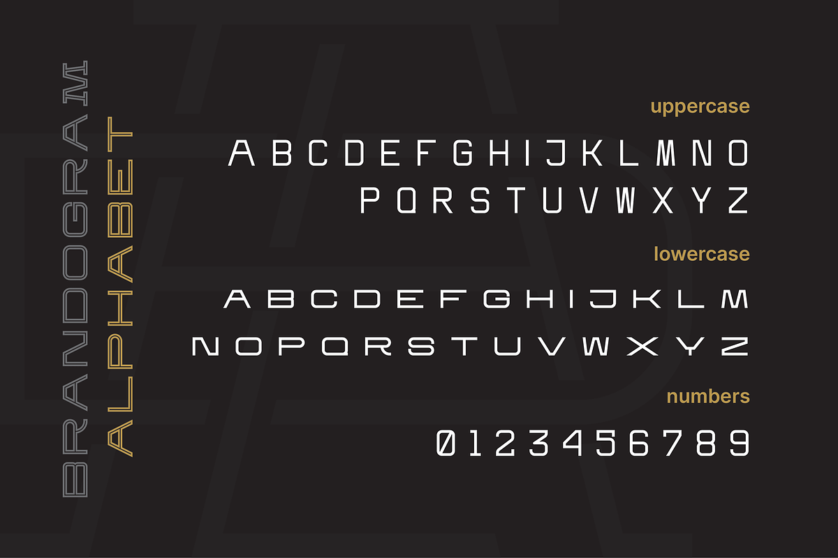 Brandogram Medium Monogram Typeface, a Slab Serif Font by Bogdan Casota (Photo 2 of 6)