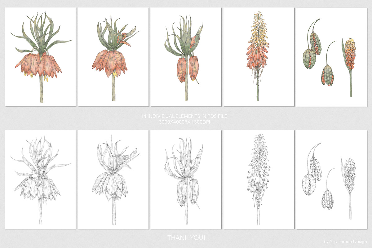 Exotic Flowers Patterns&Motifs, a Pattern Graphic by Alisa Fimen Design (Photo 10 of 10)