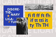 Northern Sans, a Sans Serif Font by Propertype (Thumbnail 9 of 10)