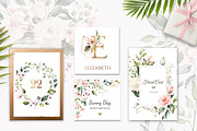 Sunny watercolor floral collection, a Decorative Illustration by Lisima (Thumbnail 5 of 14)