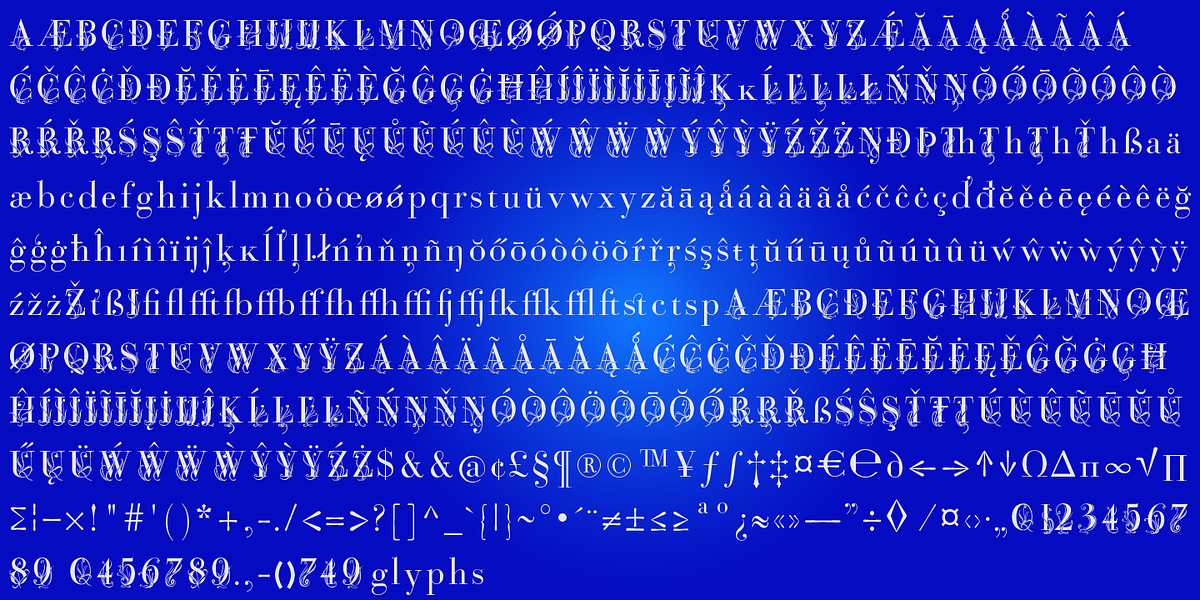 Bodoni Classic Fleurs, a Serif Font by Wiescher-Design (Photo 5 of 7)