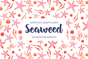 Seaweed watercolor collection