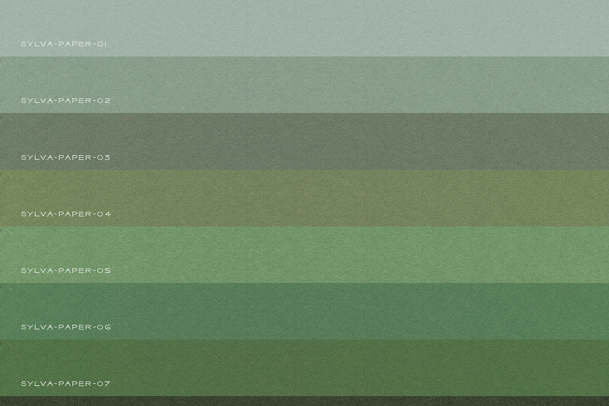 Sylva Textured Botanical Backgrounds, a Background Graphic by alonahaidash (Photo 10 of 15)