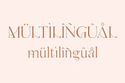 Rawgly, a Serif Font by DYSA Studio (Thumbnail 8 of 11)