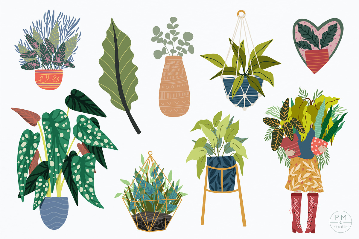 House Plant Illustration Clipart, a Graphic by PetiteMarket (Photo 3 of 3)