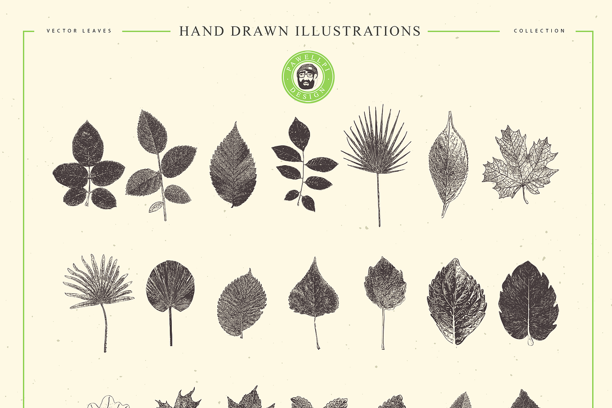 VECTOR LEAVES HAND DRAWN BUNDLE v20, a Decorative Illustration by pawellpi (Photo 7 of 7)