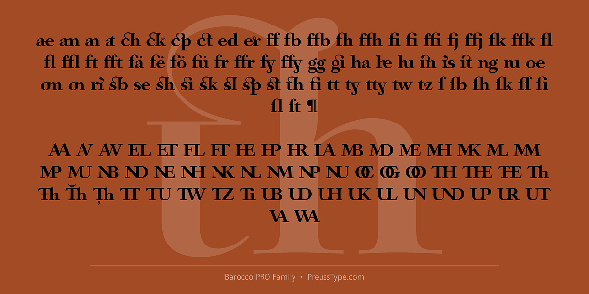 Barocco PRO, a Serif Font by preussTYPE (Photo 7 of 12)