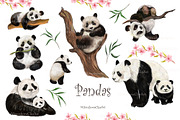 Panda clipart, PNG Amimals, an Animal Illustration by MitrushovaArt (Thumbnail 2 of 8)