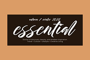 Stamlosee, a Script Font by operatype.co (Thumbnail 4 of 8)