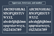 Esatis Smoothen - Serif Family, a Serif Font by Differentialtype (Thumbnail 9 of 12)