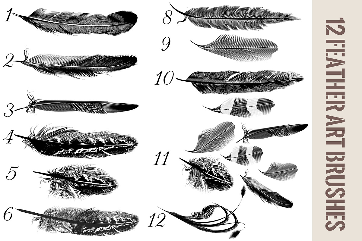 Feather brushes for illustrator preview 2