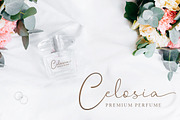Hanston | Signature Font, a Script Font by Weape Studio (Thumbnail 10 of 12)