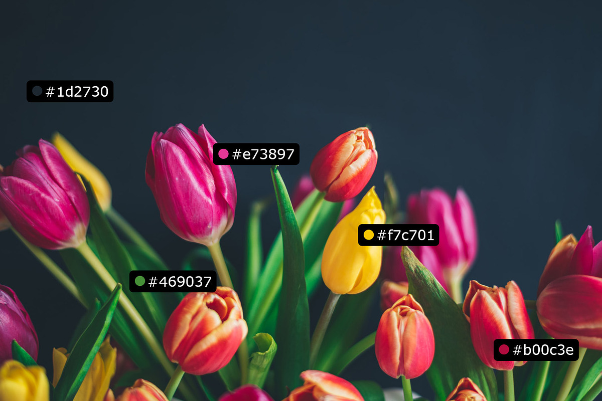 Specs - Custom Measures & Marks, a Plug-in Add-On by h3design (Photo 3 of 7)