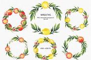 CITRUS FRUITS, an Illustration by Elena_Sedova (Thumbnail 2 of 8)