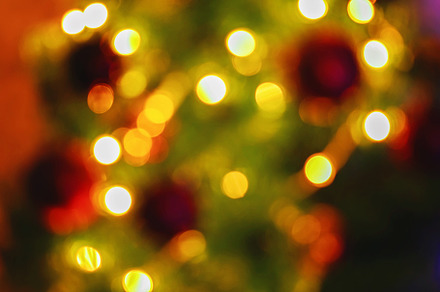 Blur light celebration christmas tree with brown wall background, a Holiday Photo by Detriana