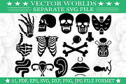 Human Anatomy SVG, Human Anatomy SVG, an Object Graphic by VectorWorlds (Thumbnail 2 of 3)