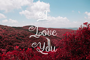 Cedurio - Calligraphy Font, a Script Font by NDNL Studio (Thumbnail 4 of 6)