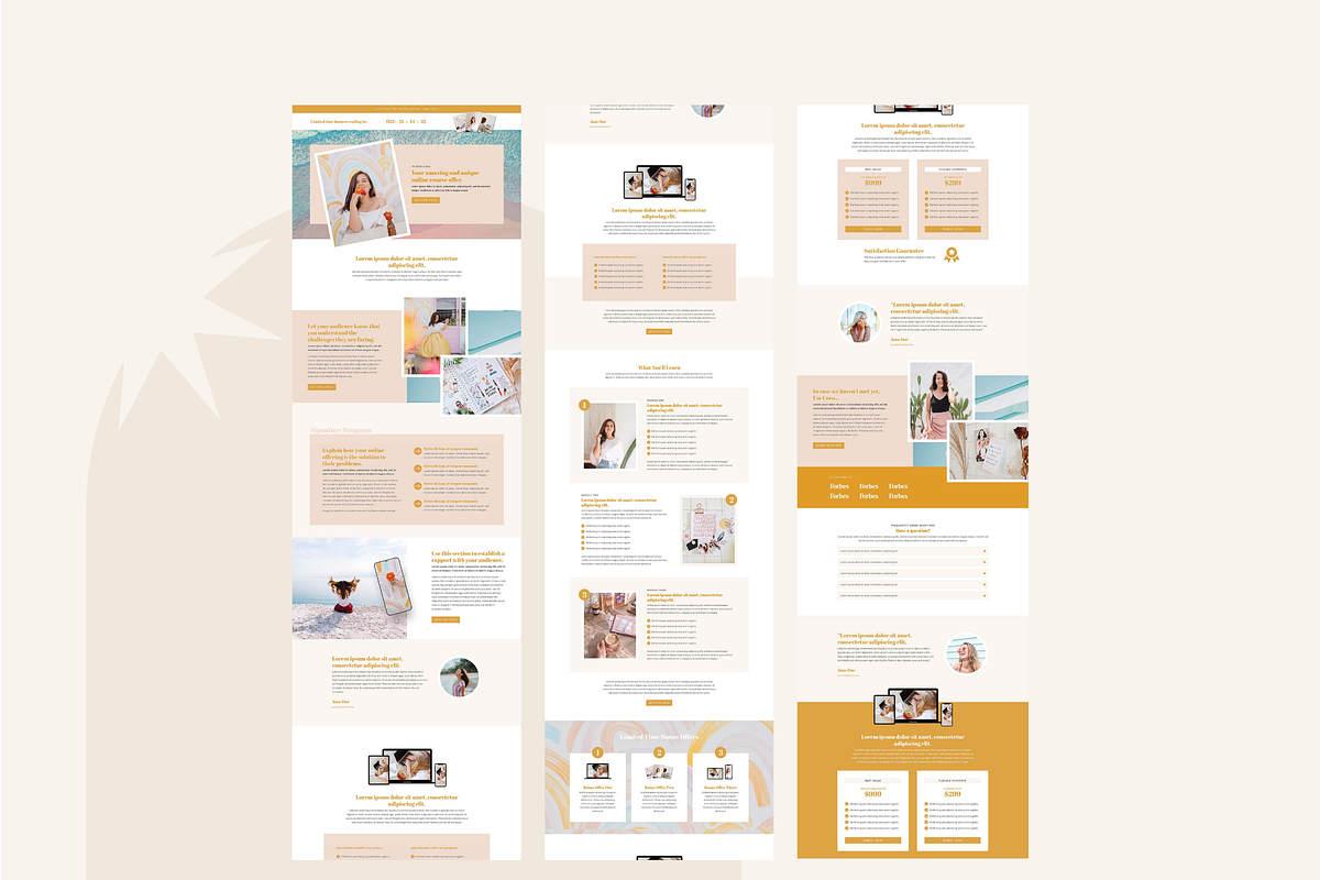 Coco Sales Page Template for Divi, a WordPress Template by Studio La Luna (Photo 4 of 5)