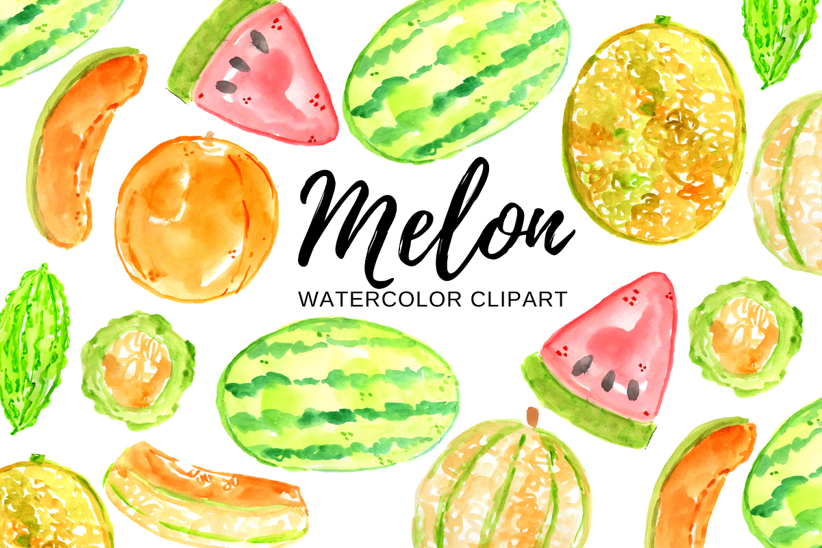 Watercolor melon fruit clipart, a Food Illustration by Writelovely (Photo 1 of 2)