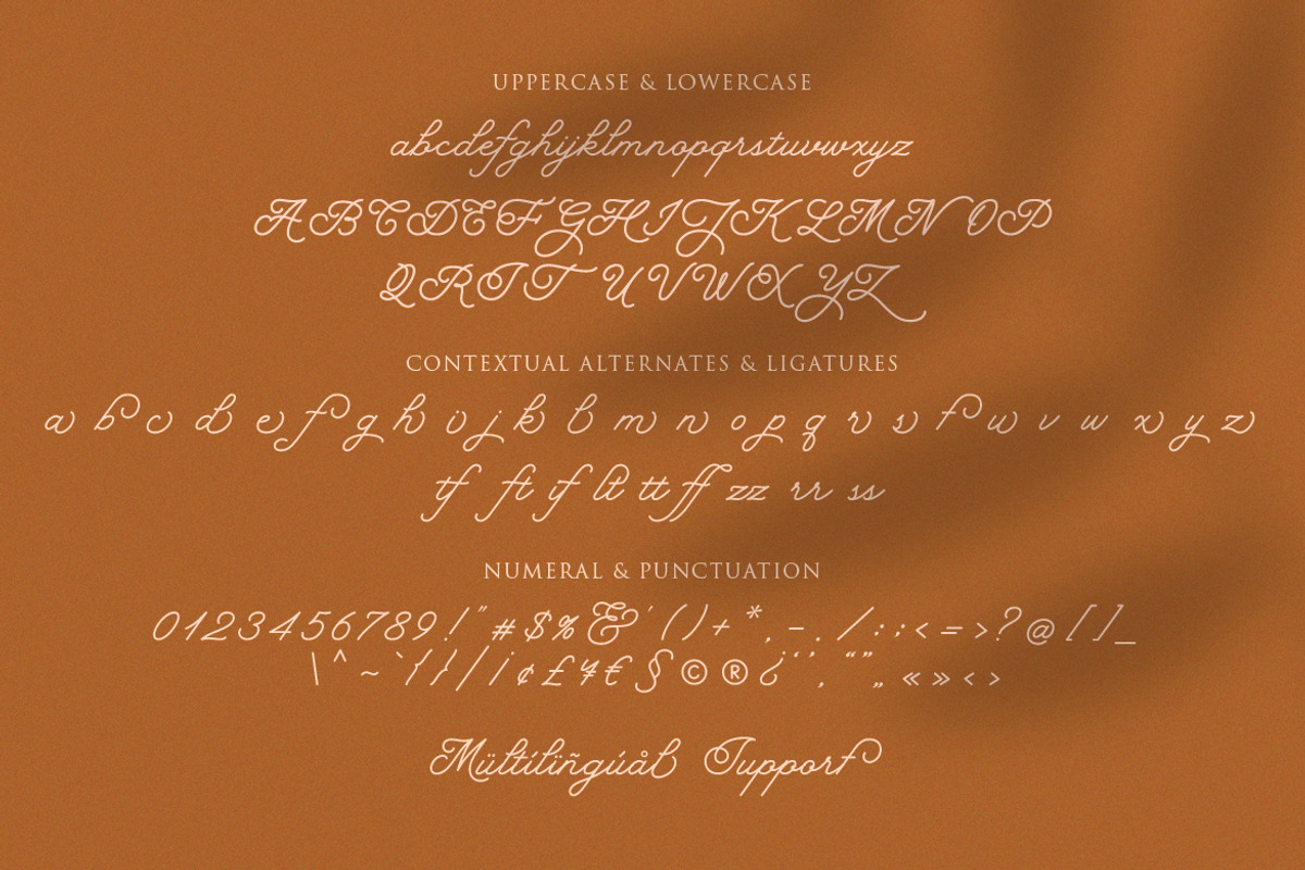 Hearty Morning - New Monoline Script, a Script Font by Ef Studio (Photo 8 of 8)