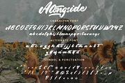 Alongside - Brush Handwritten Font, a Script Font by Arendxstudio (Thumbnail 15 of 15)