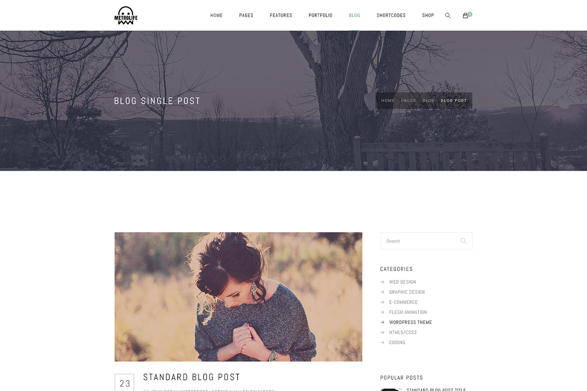 Metrolife Multipurpose PSD Template, a Websites & App Template by bigpsfan's SHOP (Photo 9 of 20)