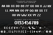 Recovery, a Script Font by FreshTypeINK (Thumbnail 7 of 8)