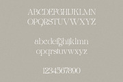 Night Whispers - Elegant Serif, a Serif Font by Mikhail Kitsune (Thumbnail 9 of 10)