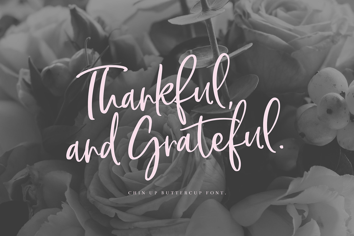 Chin Up Buttercup! Font Duo & Extras preview 7