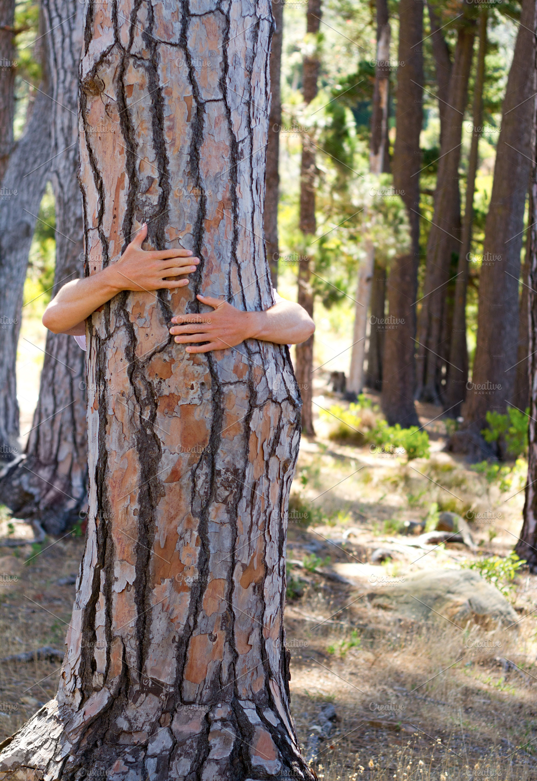 Saving trees one at a time, a Photo by Peopleimages.com