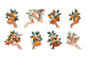 Orange fruit with hands flat vector, a Food Illustration by Onyx