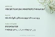 Dalmivo | Script Decorative Font, a Script Font by Everyday Perfection (Thumbnail 2 of 5)