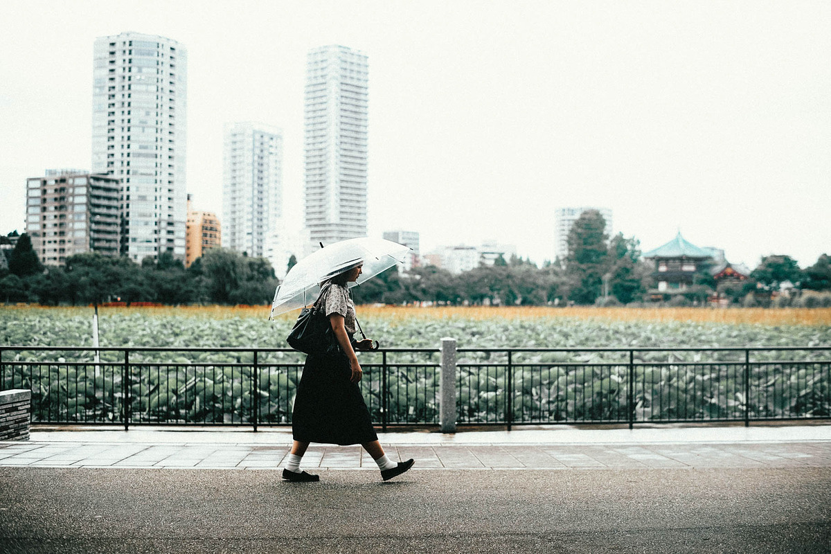 Kodak Ultramax Lightroom Presets, a Preset Add-On by Daily Studio (Photo 6 of 10)