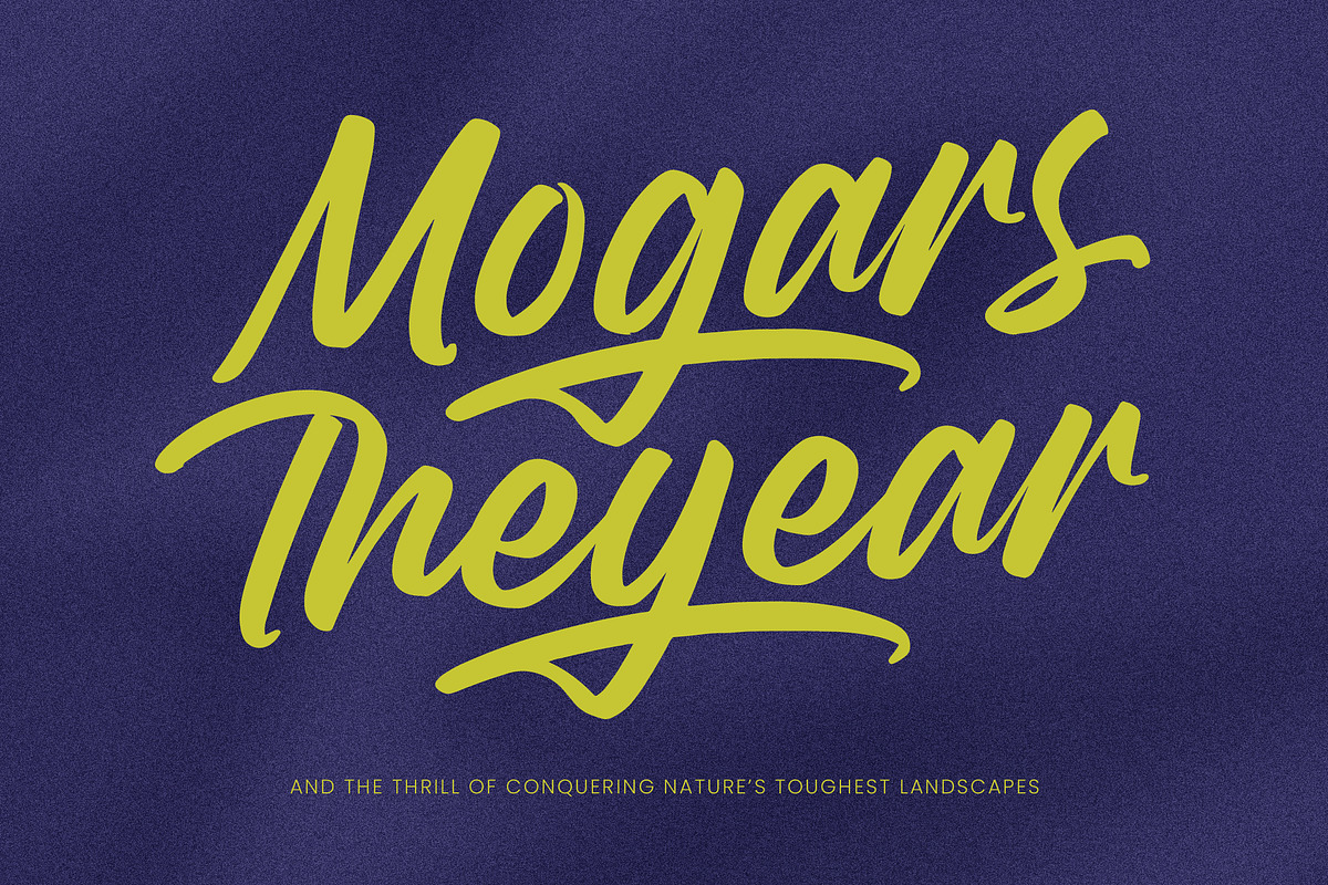 Theglory Skemaro Bold Handwritten, a Script Font by Letterena Studios Script (Photo 15 of 20)