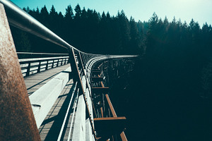 Kinsol Trestles