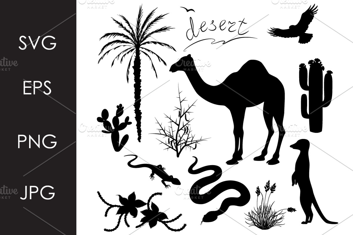 Monochrome Desert Plants and Animals, an Animal Illustration by Valentyna Smordova
