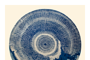 Natt Collection · Organic Tree Rings, a Texture Illustration by milatovar (Thumbnail 6 of 19)