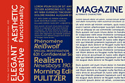 Pluribus - Serif font family, a Serif Font by Artistic & Unique (Thumbnail 15 of 15)