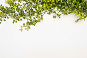 Modern Mockup, Clean Mockups, a Background Photo by BlueBooks (Thumbnail 2 of 14)