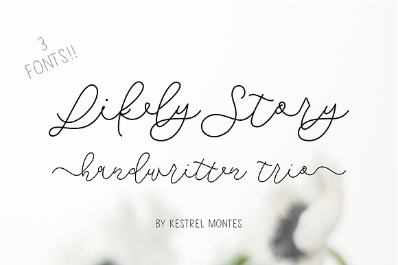Likely Story Font Trio preview 8