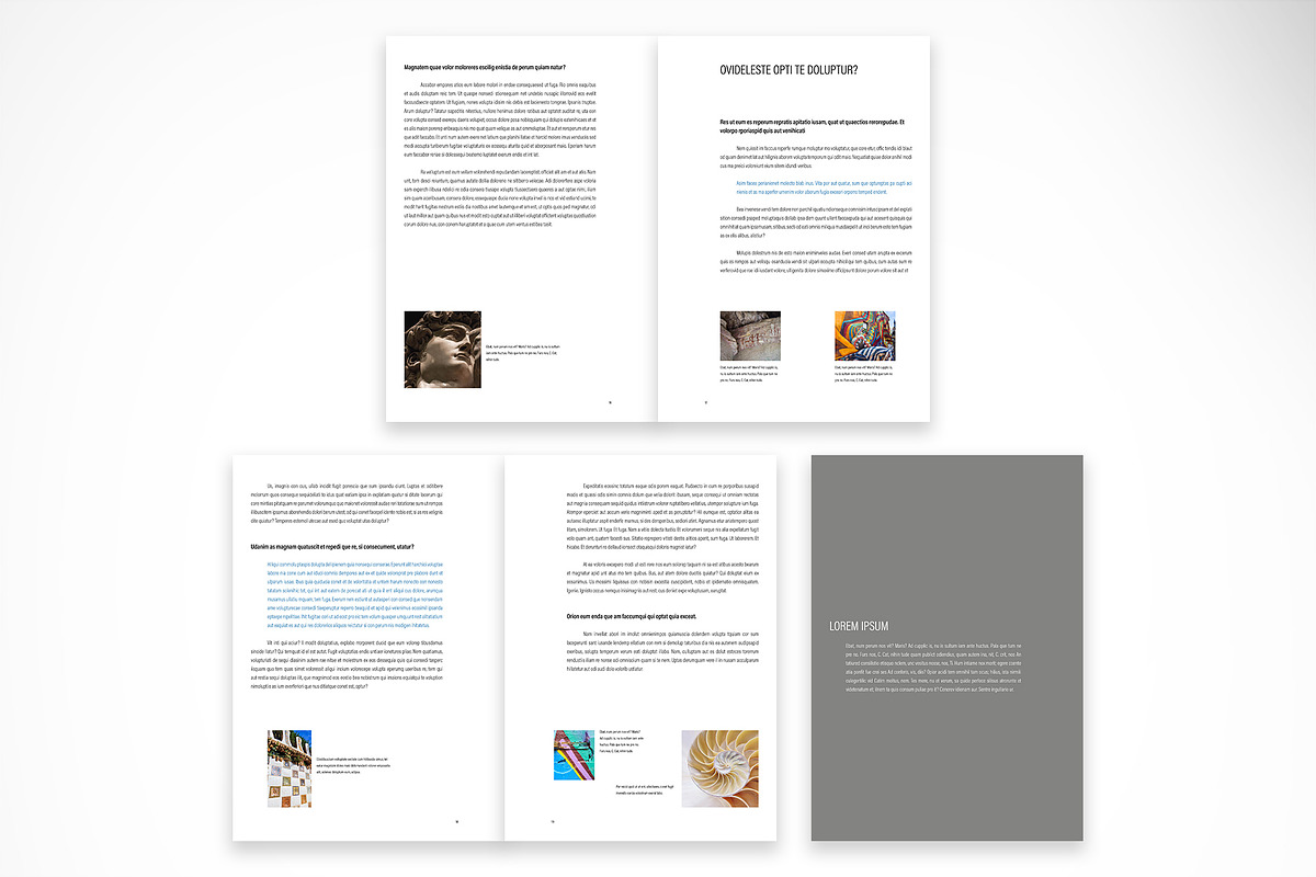 Modern Report or Thesis Template preview 4