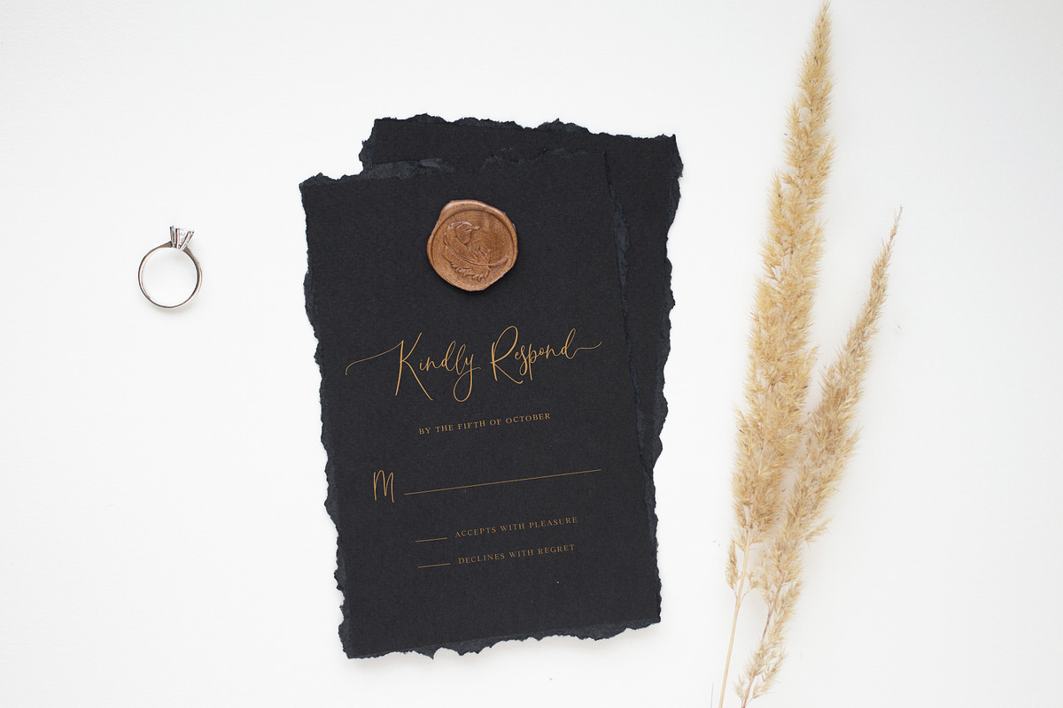 Desert Song | Calligraphy Script preview 2