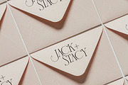 French Voyager - Chic Ligature Serif, a Serif Font by SilverStag Type Foundry (Thumbnail 11 of 23)
