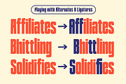 TNSC Bashin - Condensed Sans Serif, a Sans Serif Font by The Native Saint Club (Thumbnail 2 of 12)
