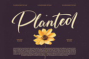 Skayhan Chester Bold Brush Font, a Script Font by Letterena Studios Script (Thumbnail 4 of 20)