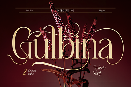 Gulbina, a Serif Font by Burntilldead