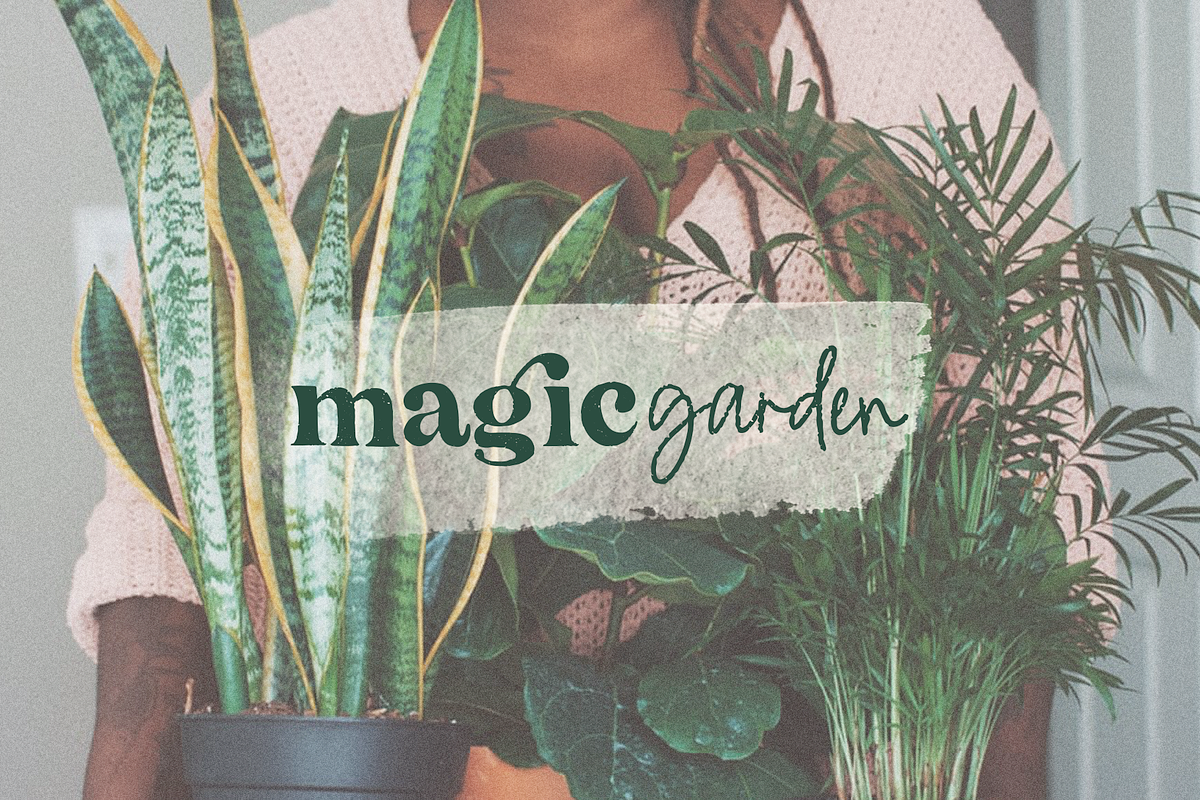 The California | Serif Font Duo preview 8