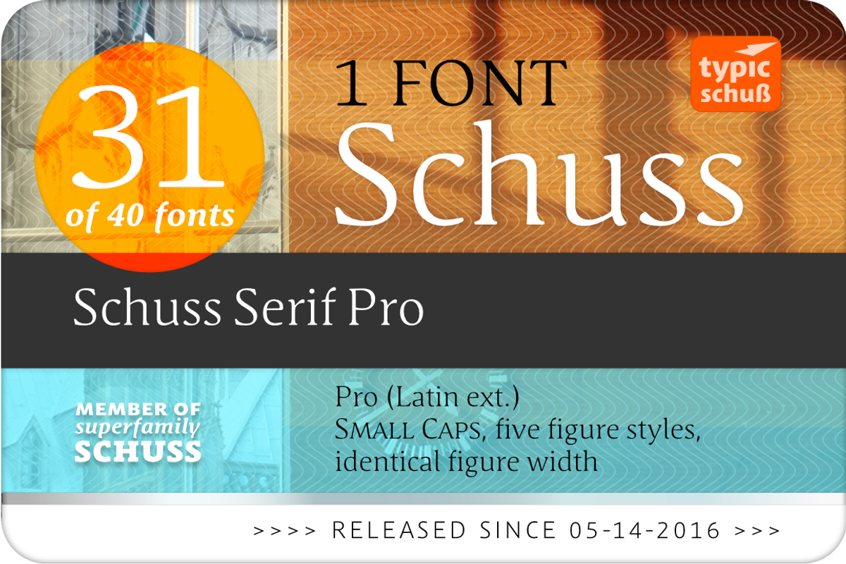 SchussSerifProLight No.31 (1 Font) preview 2