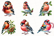 Christmas Grosbeak Birds Clipart, an Illustration by OK Design (Thumbnail 3 of 5)